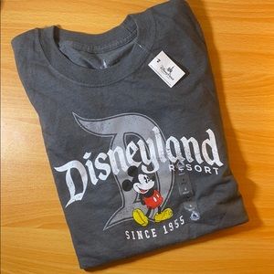 DisneyParks tee